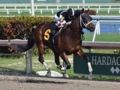 GLOBAL CAMPAIGN OUT OF PEGASUS, RETIRED TO WINSTAR Image 1